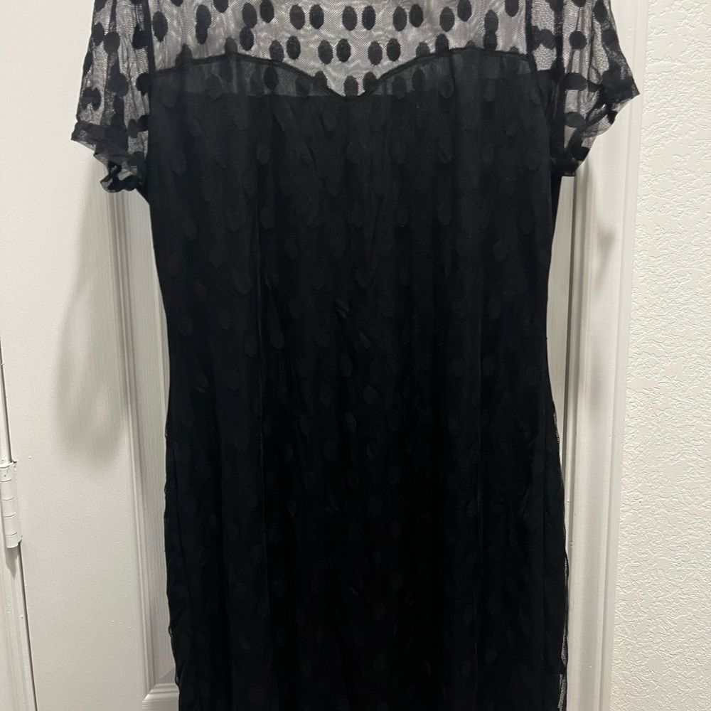 Elegant Black Sheer Polka Dot Dress